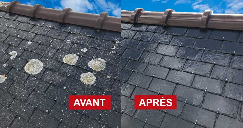 Nettoyage toiture - PCK COUVREUR PARIS (75) : artisan couvreur sur Paris (75). Nettoyage, démoussage traitement anti-mousse toiture. peinture hydrofuge toit : Intervention dans tous les arrondissements de Paris (75)